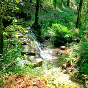 riachuelo que cruza un sendero en el Parque Natural Monte Aloia