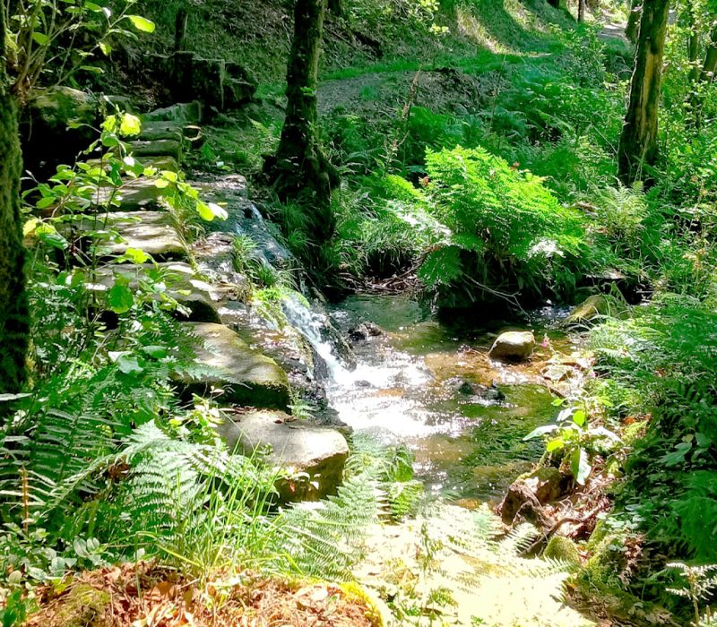 riachuelo que cruza un sendero en el Parque Natural Monte Aloia